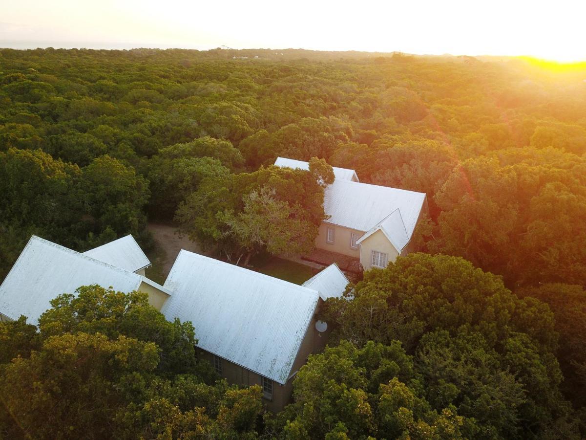 The Plantation Bed & Breakfast Порт Елизабет Екстериор снимка